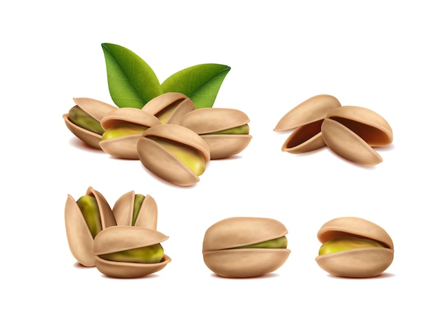 Vector pistachio in different shapes