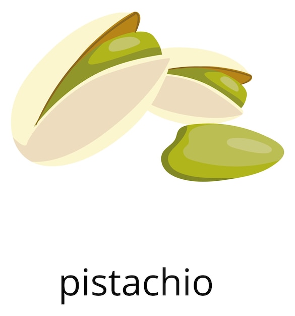 Pistachio green nut in shell color food icon