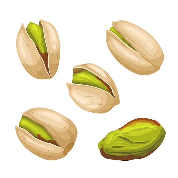 Pistachio nut food set cartoon vector illustration