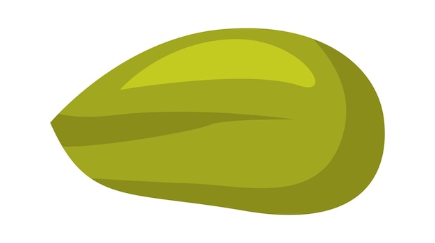 Pistachio nut Healthy Food Vector illustration