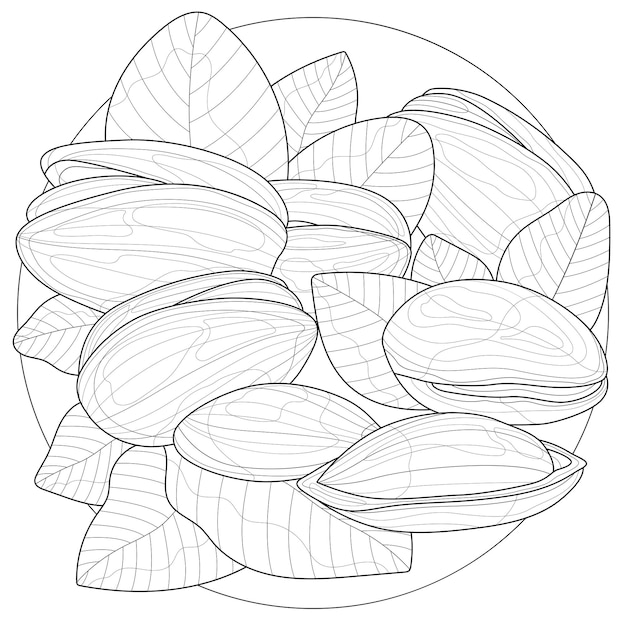 Pistachio nuts.Coloring book antistress for children and adults. Illustration isolated on white background.Zen-tangle style. Black and white drawing