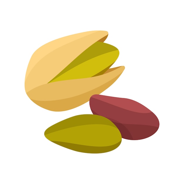 Vector pistachio nuts in shell and shelled flat style vector illustration