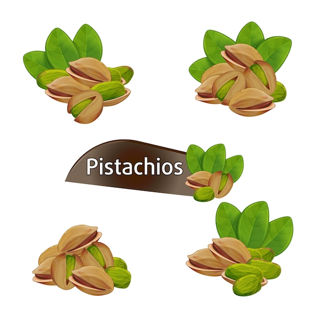 Pistachios kernel in nutshell with leaves set