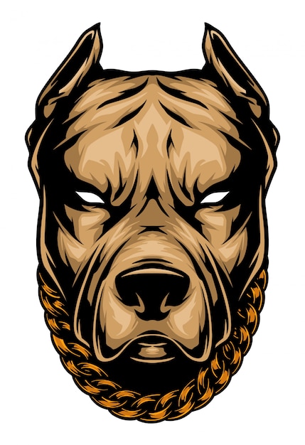 Vector pit bull head illustration