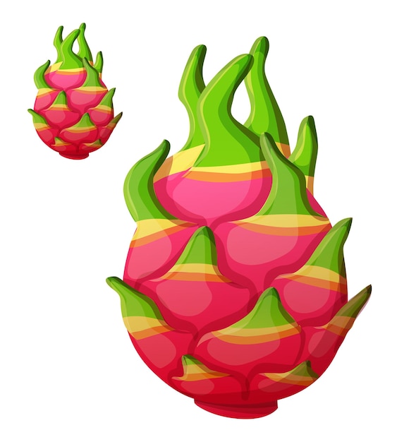 Pitaya draak fruit fruit vector pictogram geïsoleerd