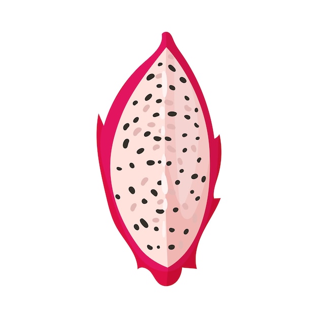 Vector pitaya or dragon fruit cut section covered with leathery leafy skin vector illustration