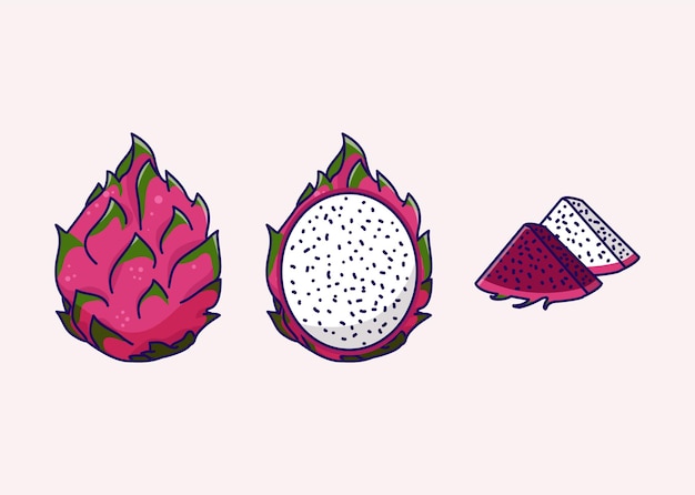 벡터 pitaya 또는 드래곤 과일 그림