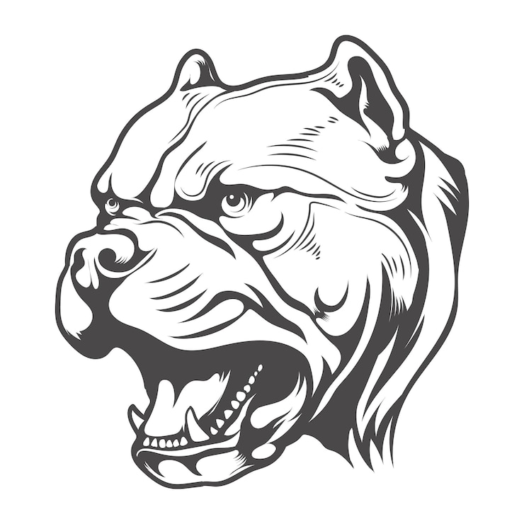 Vector pitbull dog angry look like tiger vector design