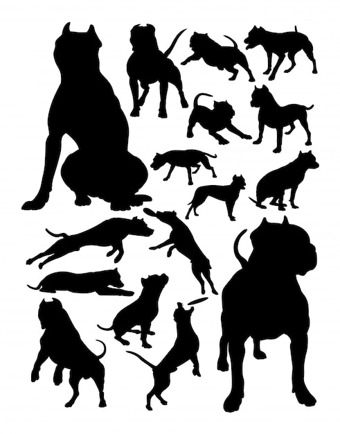 Pitbull dog animal silhouettes.