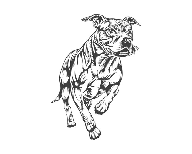핏불 개 품종 벡터 그림, 티셔츠, 로고 및 흰색 배경에 있는 핏불 개 벡터