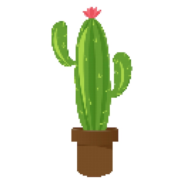 Pixel art cactus per gioco per computer, grafica vettoriale