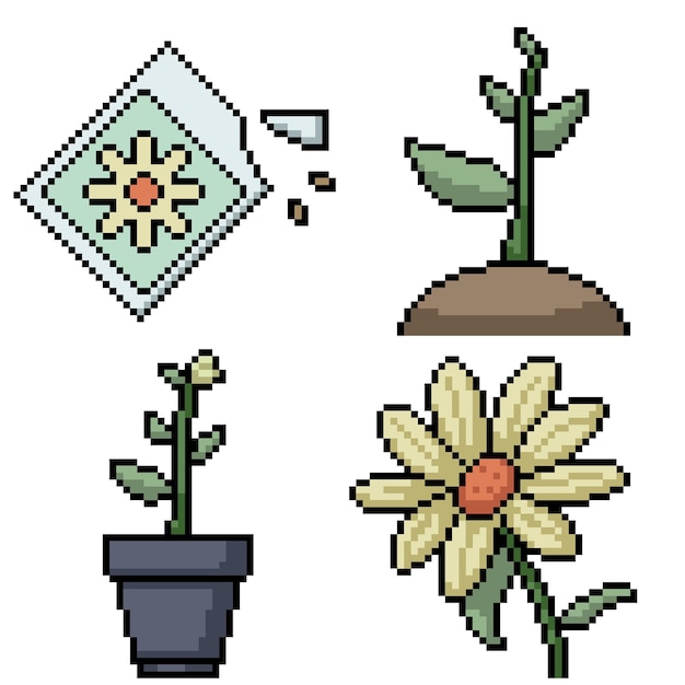 Vector pixel art of flower plant seed