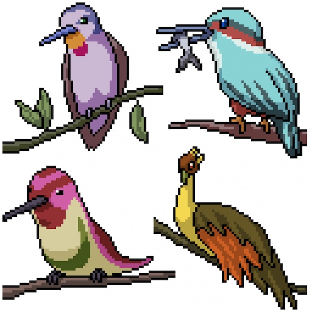 Vector pixel art set isolated bird on branch