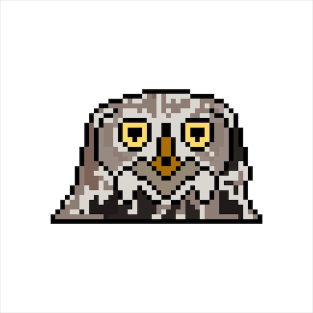 Pixel art with owl face on white background.