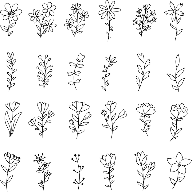 pixel perfect icon set of hand drawn handdrawn black flower plant leaf floral thin line icons flat