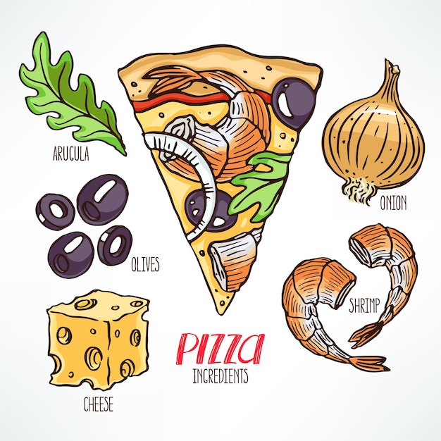 Ingredienti della pizza. pezzo di pizza con gamberi. illustrazione disegnata a mano