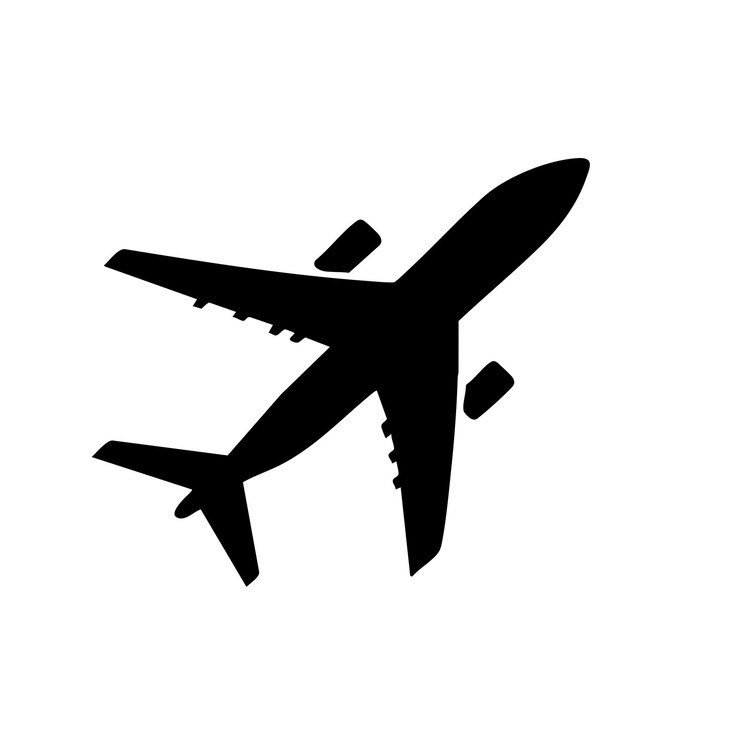 Plane flat Black and White icon Design Minimal on white background