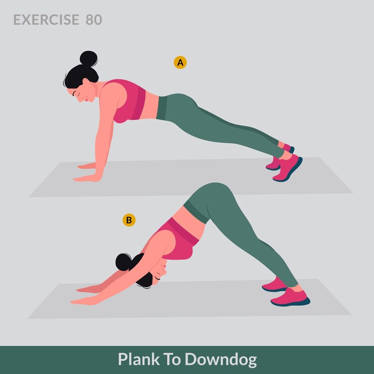 Vector plank to downdog exercise, woman workout fitness, aerobic and exercises.
