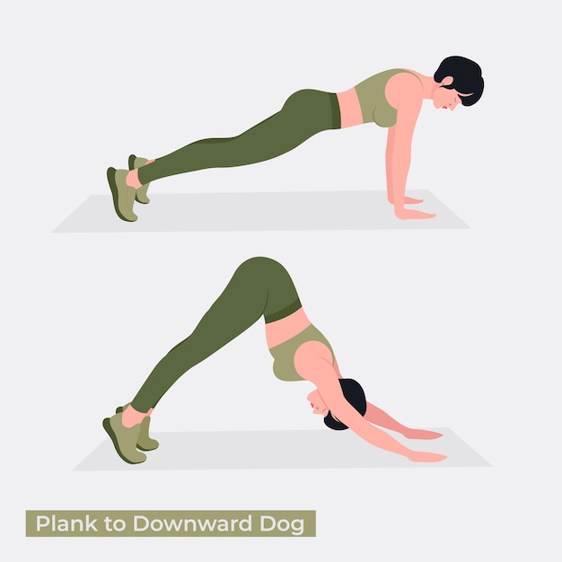 Vector plank to downward dog exercise woman workout fitness aerobic and exercises