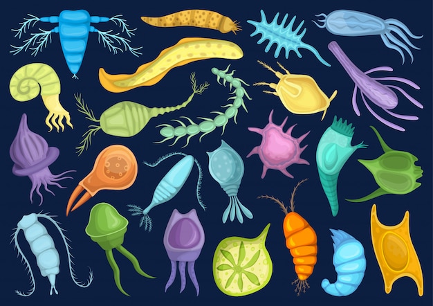 plankton cartoon set icon. isolated cartoon set icon phytoplankton.