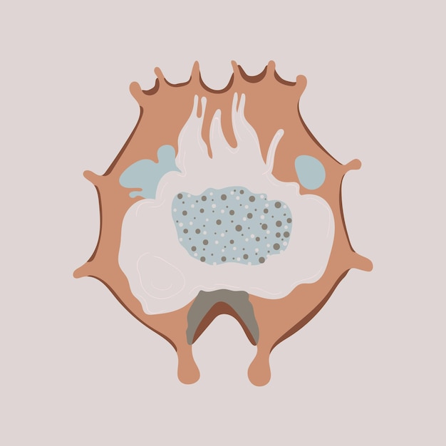 Plankton of watervlooien schaamteloze vectorpictogram cartoon vectorpictogram geïsoleerd patroon