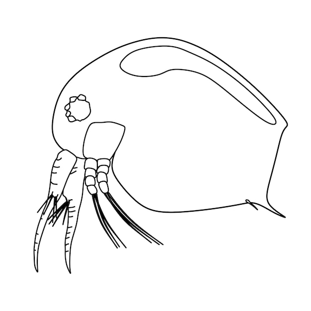 プランクトンまたは水跳蚤の無恥なベクトルアイコン 漫画のベクトルアイコン 孤立したパターン