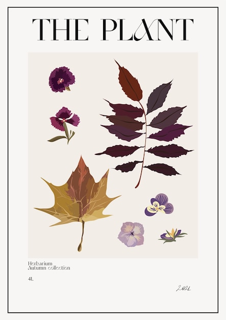 The plant. autumn flower market poster. herbarium