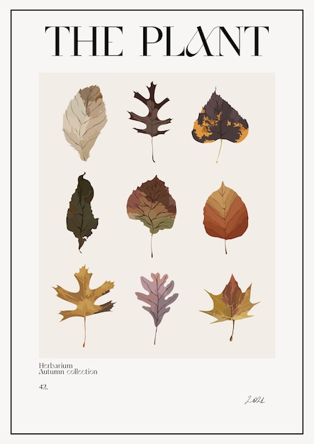 The plant. Autumn flower market poster. Herbarium