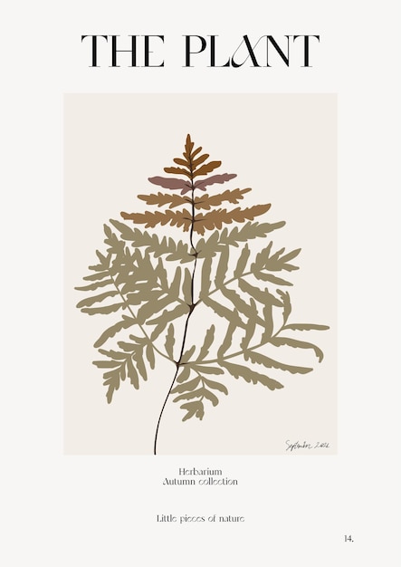 植物。秋のフラワー マーケットのポスター。ハーバリウム