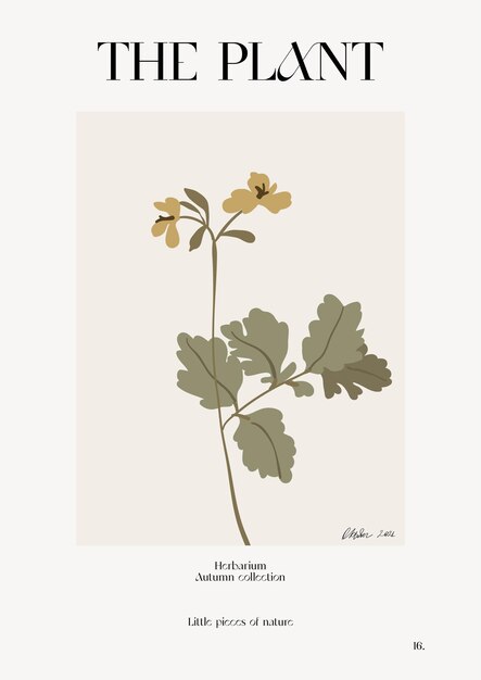 The plant. Autumn flower market poster. Herbarium