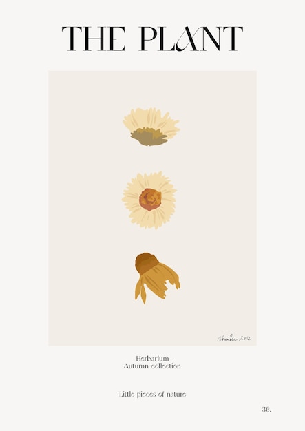 The plant. Autumn flower market poster. Herbarium