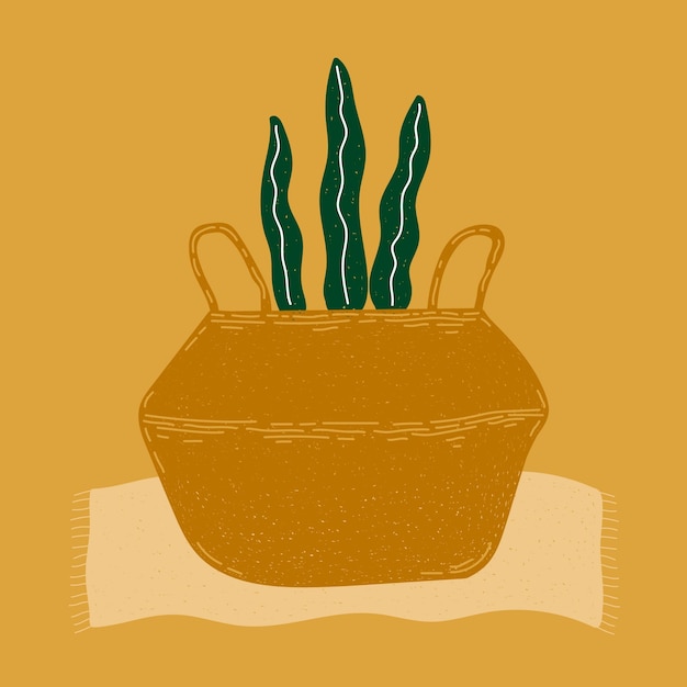 A plant in a basket