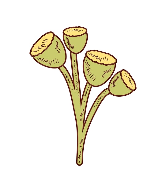 plant bloem icoon geïsoleerd ontwerp