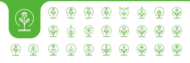 plant bloemlijn minimale icoon set collectie ontwerp vector