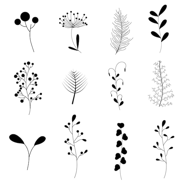 Plant collection hand drawn silhouette Hand drawing of flowers outline