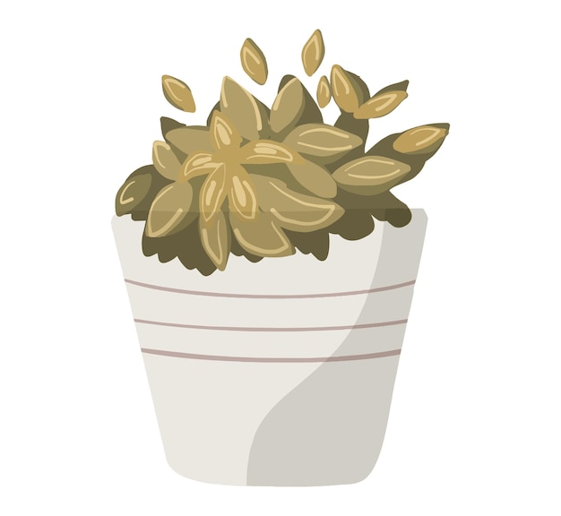 植物の装飾イラスト