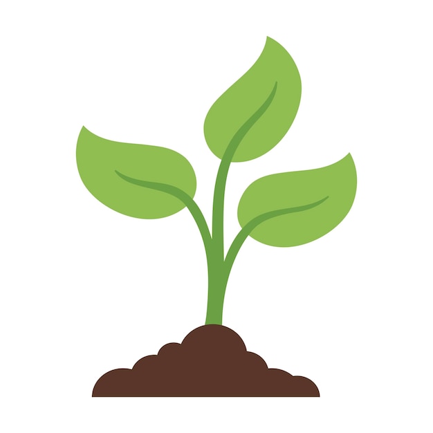plant in dirt flat colours
