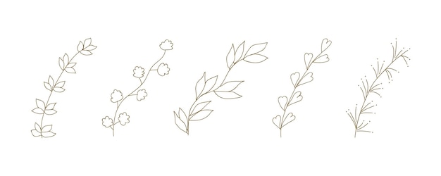 Plant doodle illustration leaf and flower line art floral branch sketch