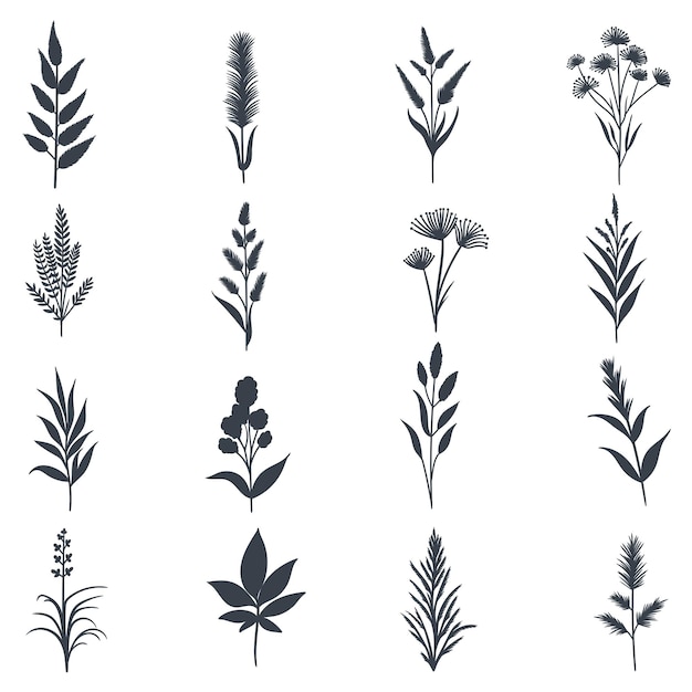 Vector plant elements set collection vector illustration