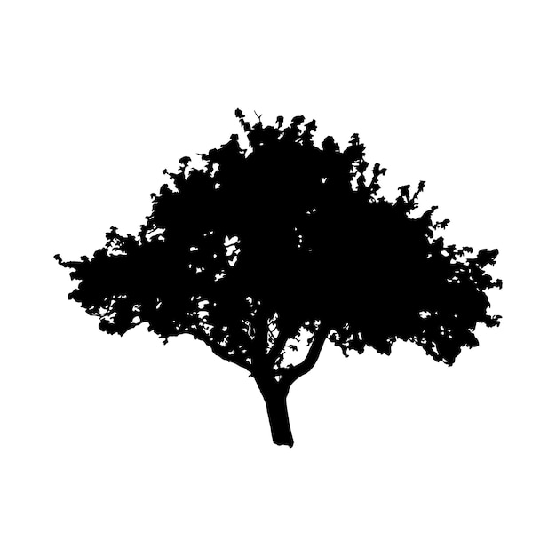 Plant en boom silhouet illustratie vector