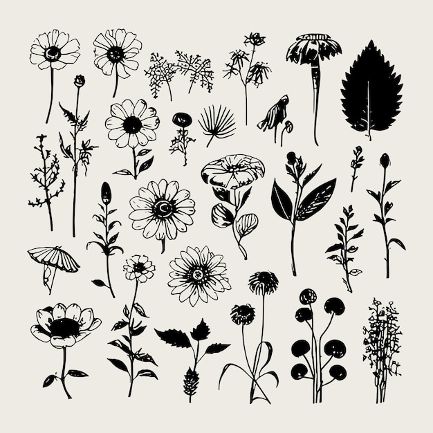 plant and flower hand drawn vector set