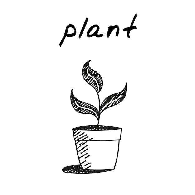 Plant flowerpot icon Cute cartoon vector illustration of a plant with three leaves growing in a pot