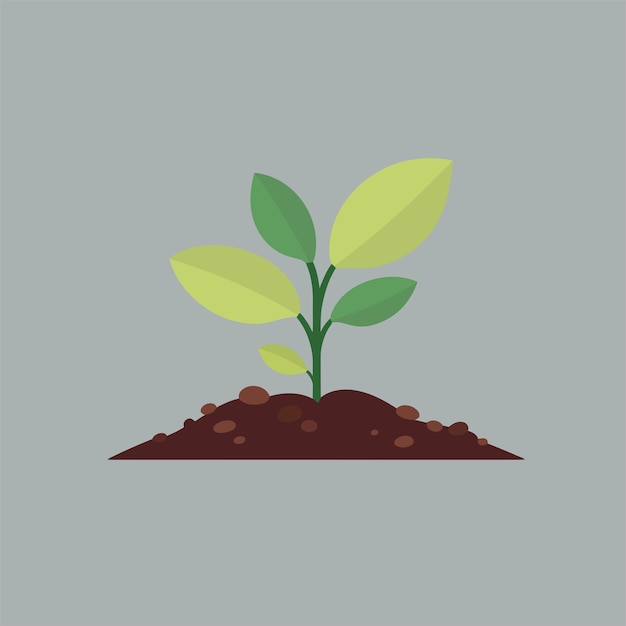 plant growing in the ground vector