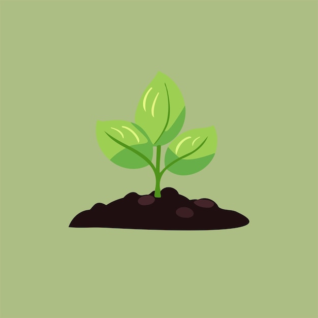 Plant Growing in The Ground Vector