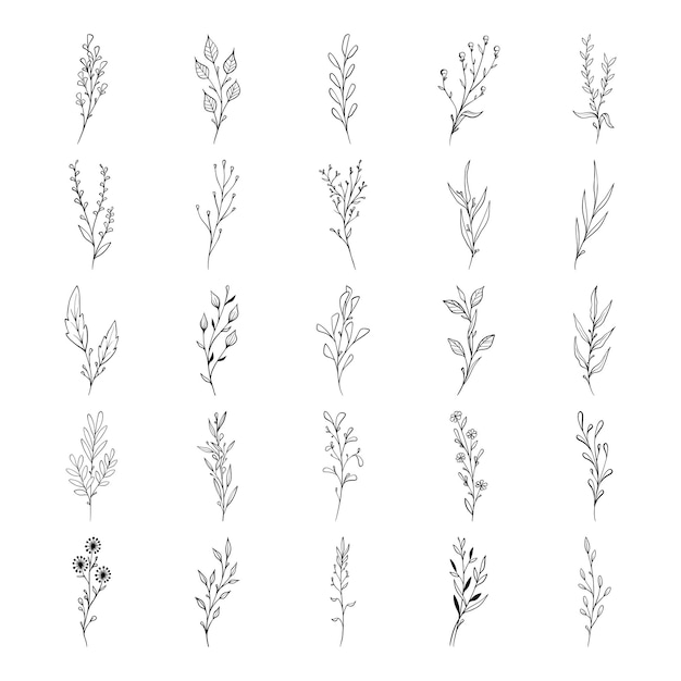 plant hand drawn vector set