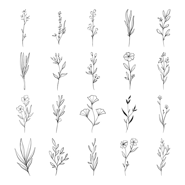 Vector plant hand drawn vector set