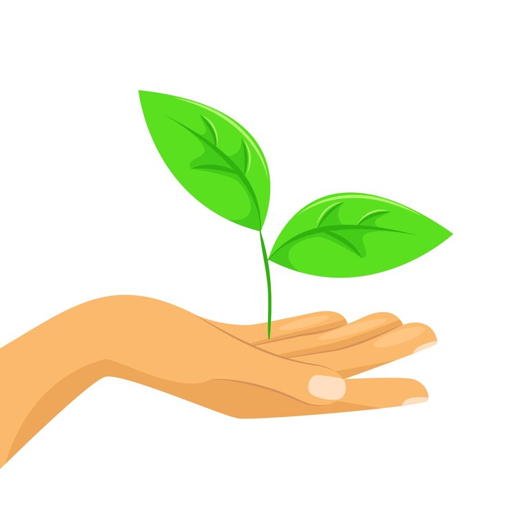 Vector plant in human hand