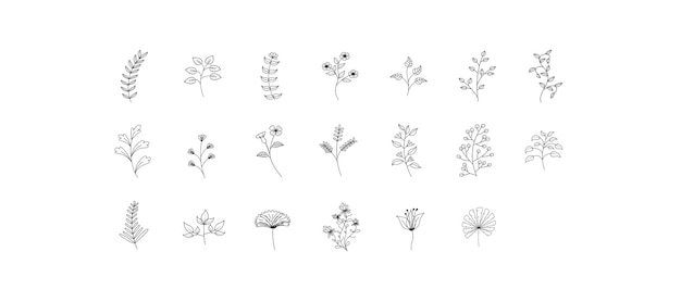 Plant Illustration Set