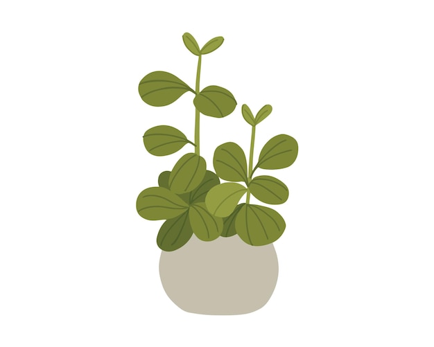 Plant in pot pictogram vector illustratie grafisch ontwerp vectorillustratie