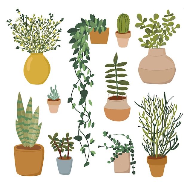 Vector plant in pot vectorillustratie instellen plat verschillende indoor ingegoten decoratieve kamerplanten voor interieur thuis of op kantoor decorat setion groene tuin bloemen collectie iconen geïsoleerd op wit cactus